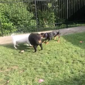 Meet your Posher, Andy